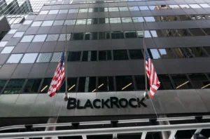 How BlackRock Became So Powerful