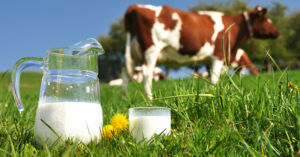 Why Selling Milk Is a Profitable Business